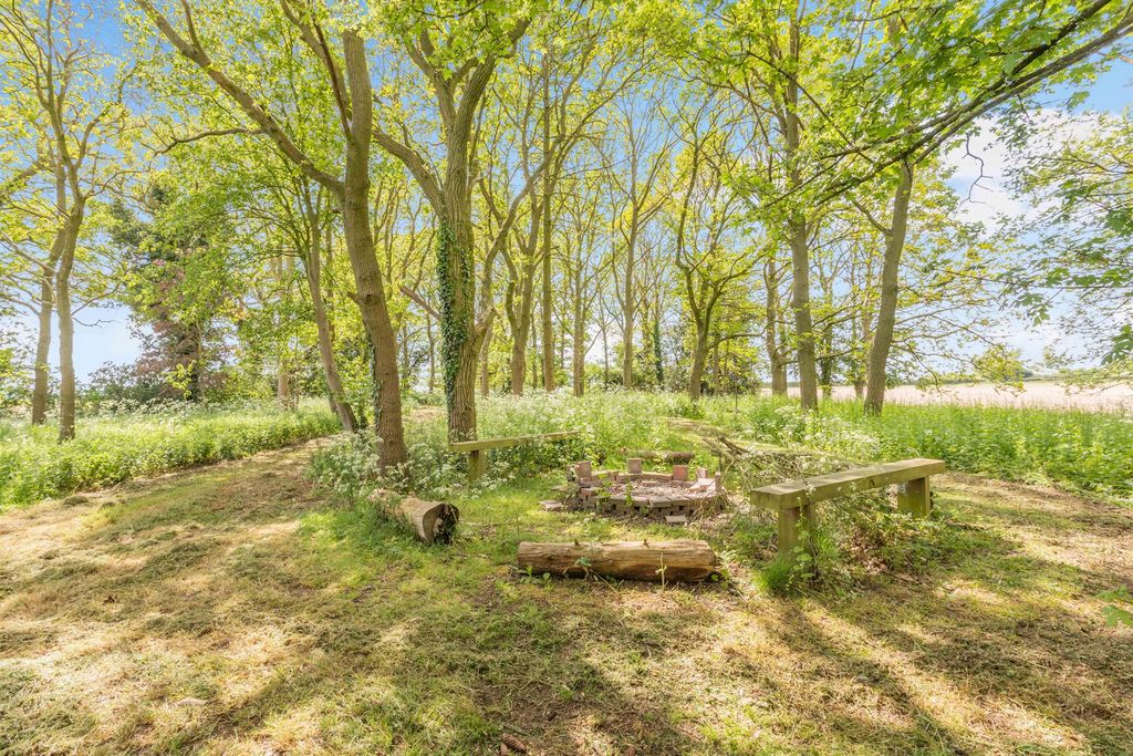 Property photo 3 of 19