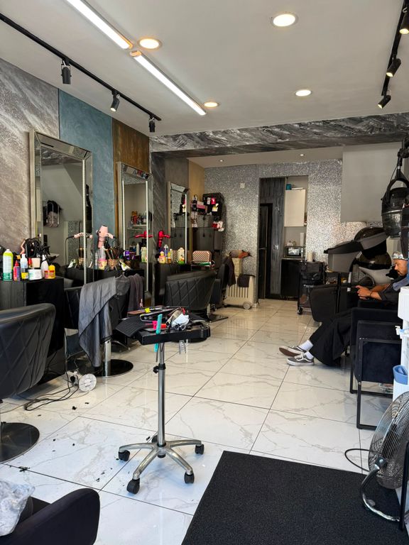 Property photo 3 of 6 Springfield Road - Salon (1)