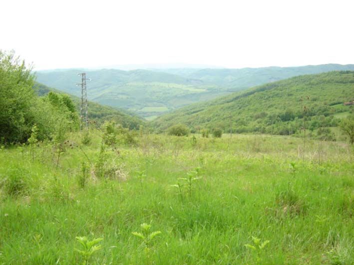 Property photo 2 of 3