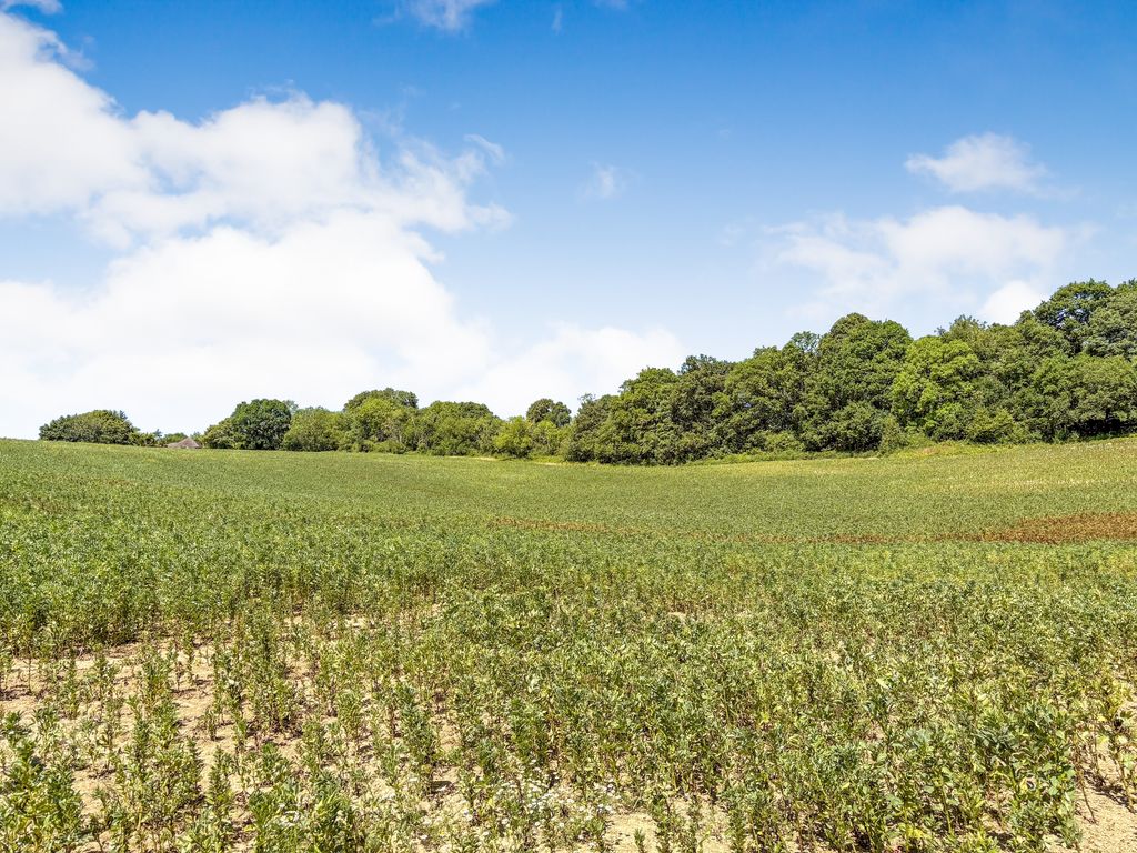 Property photo 3 of 4 Photo 3