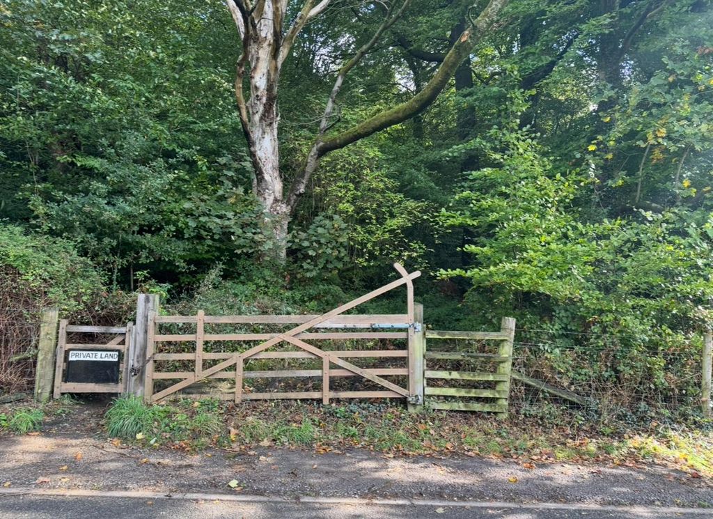 Property photo 2 of 17 Image0.Jpeg