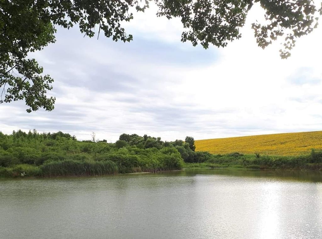 Property photo 2 of 59 Calm Fishpond Bordered By Green Bushes And A Yellow Field In The Distance Beneath An Overcast Sky.