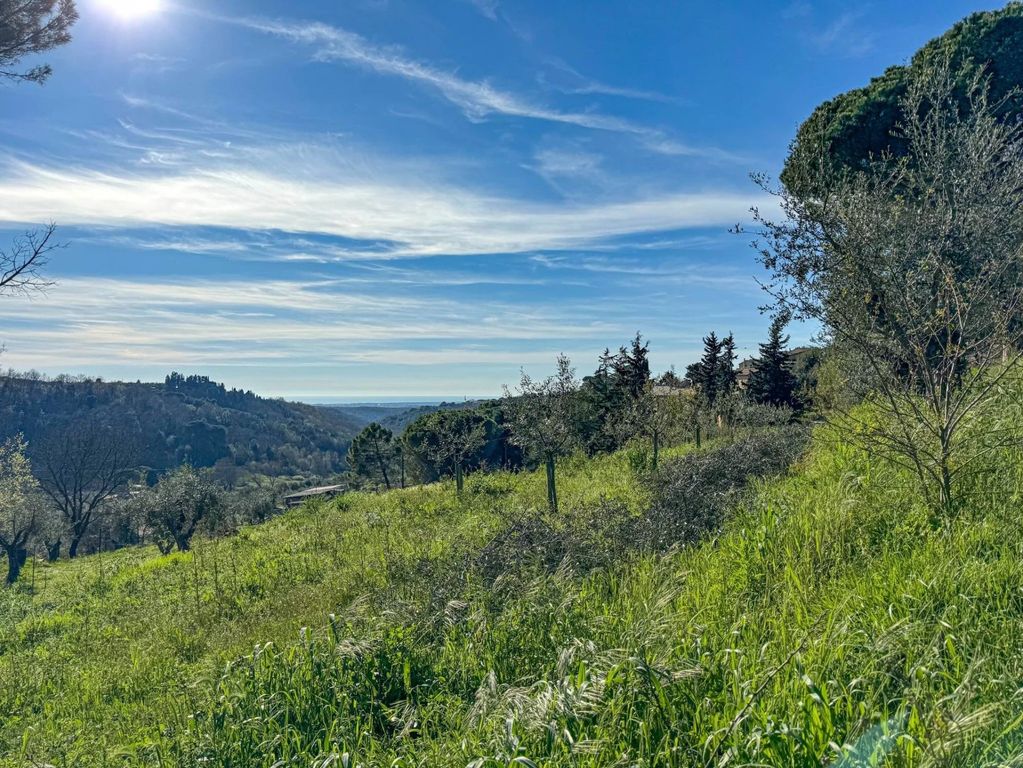 Property photo 3 of 71