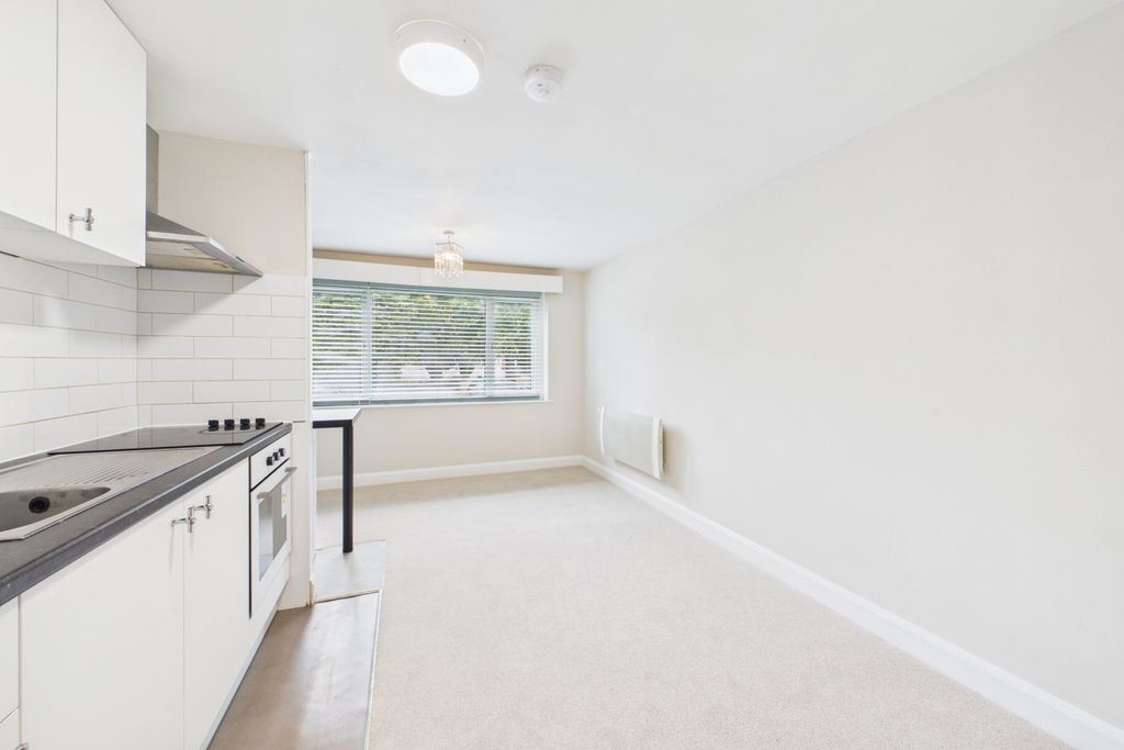 Property photo 3 of 10 Kitchen - Living - Bedroom