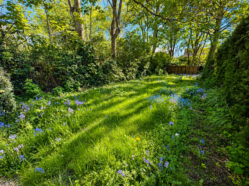 Property photo 2 of 14 Rear Garden
