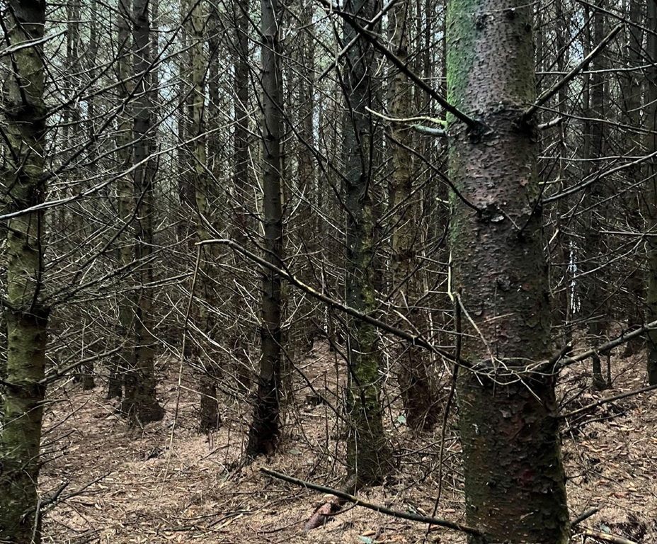 Property photo 3 of 4