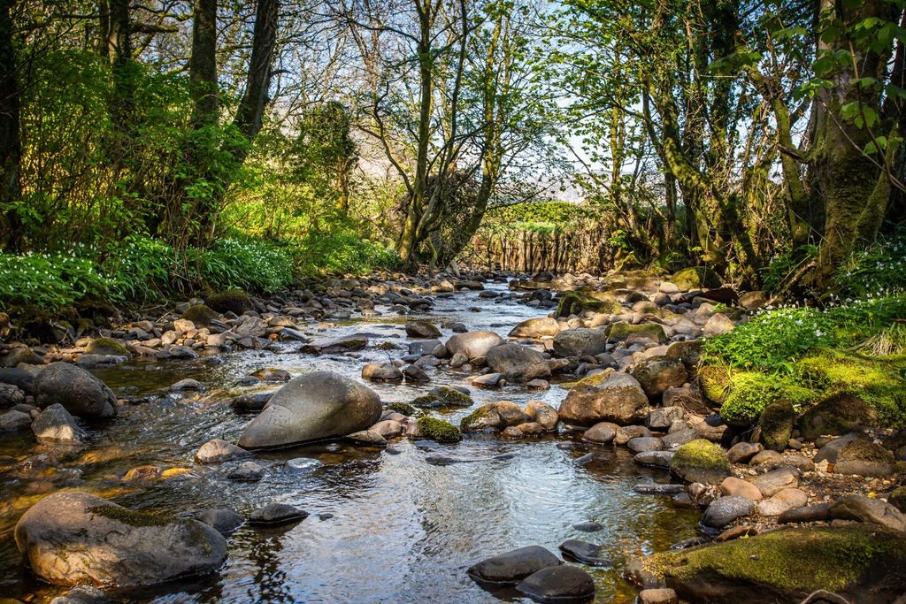 Additional image 25 of Studio for sale1 Prospect Hill Cottages, Clauchlands, Lamlash, Isle Of Arran, North Ayrshire KA27