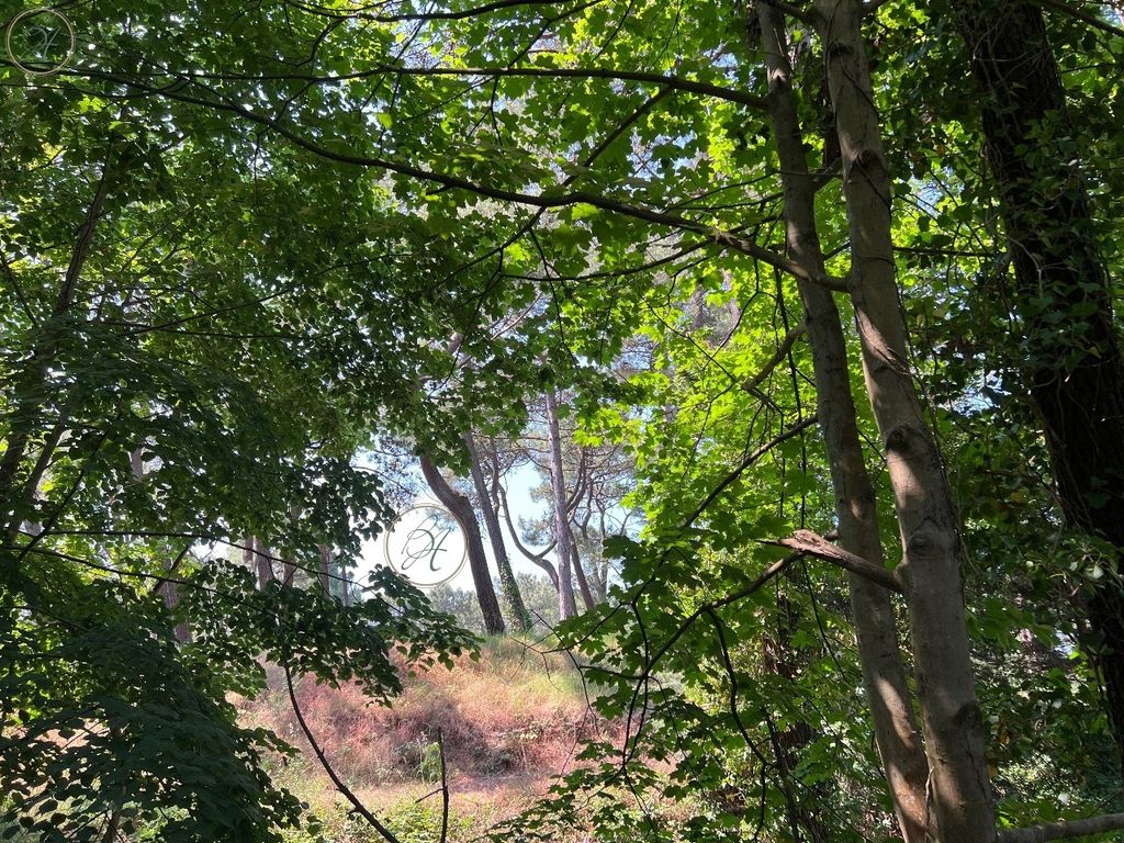 Property photo 1 of 3