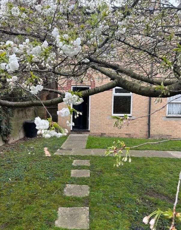 Property photo 1 of 2