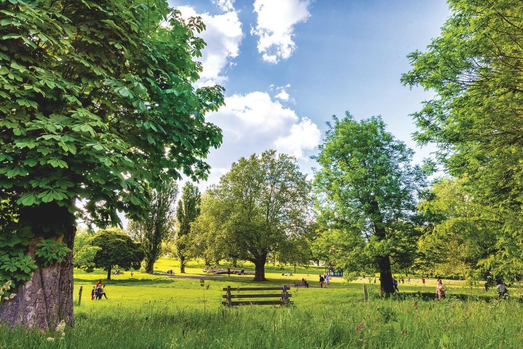 Property photo 2 of 17 Brcokwell Park.Jpg