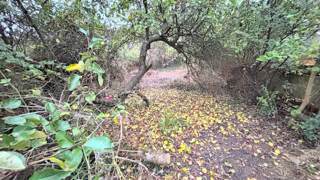 Property photo 2 of 17 Garden 2