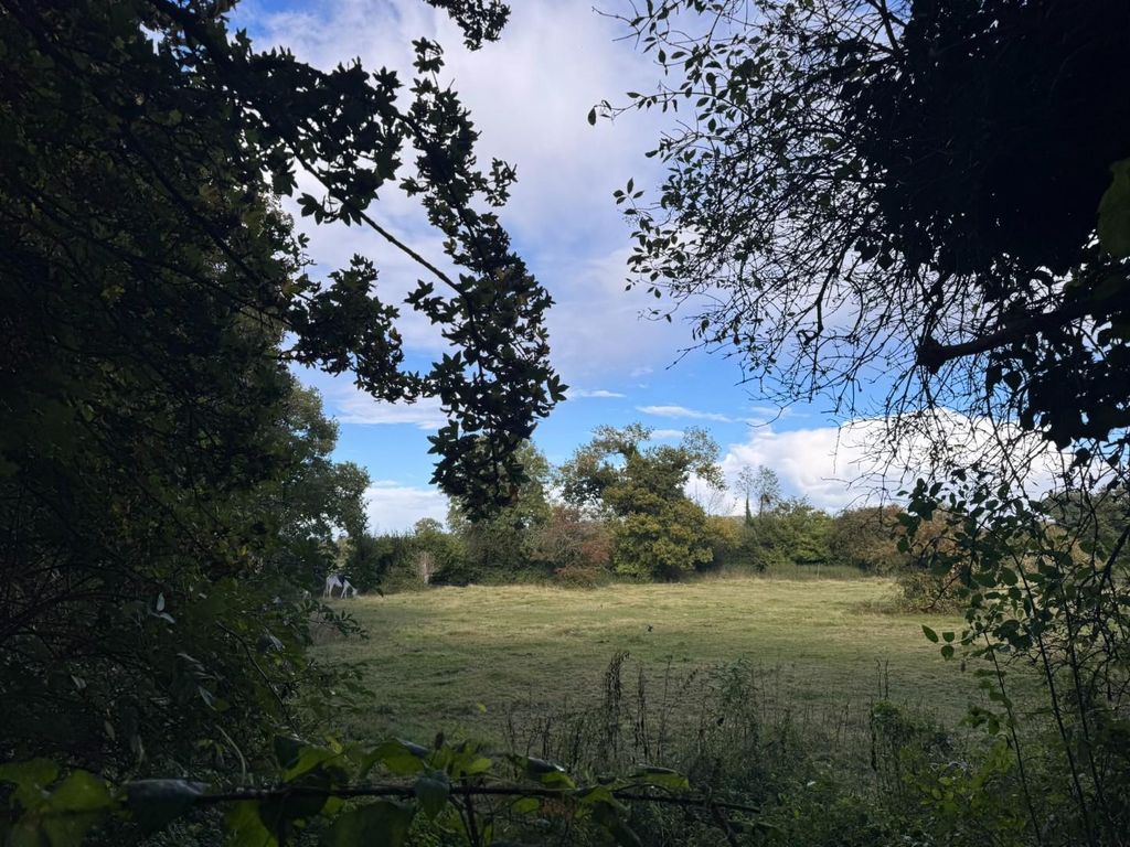 Property photo 1 of 6 Img_3135.Jpeg