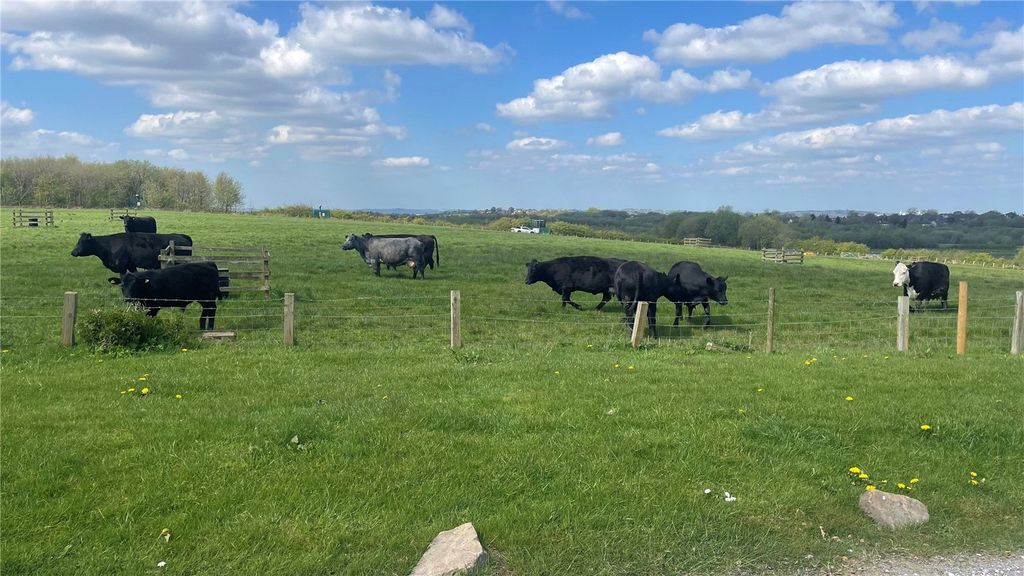 Property photo 3 of 47 Picture No. 67