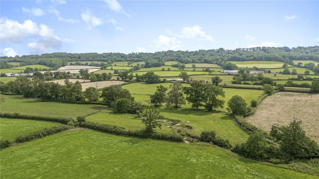 Land for saleAwliscombe, Honiton, Devon EX14 photo 4
