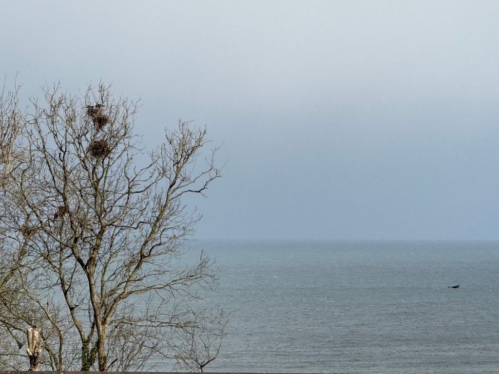 Property photo 3 of 29