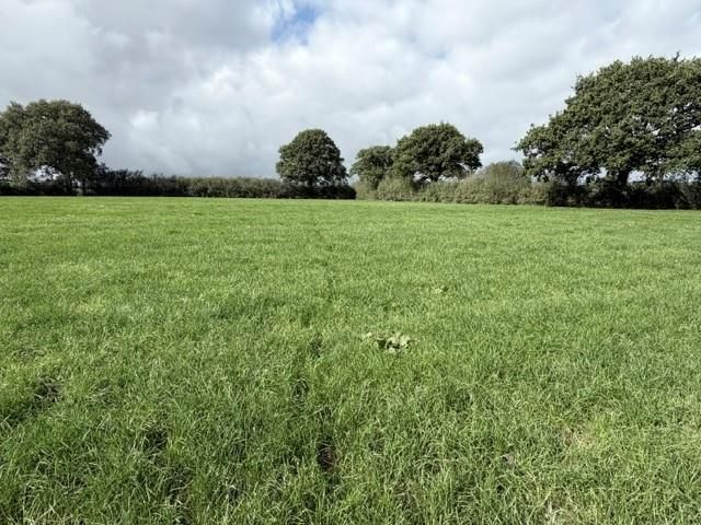 Property photo 2 of 13 Pwntan7.Jpg