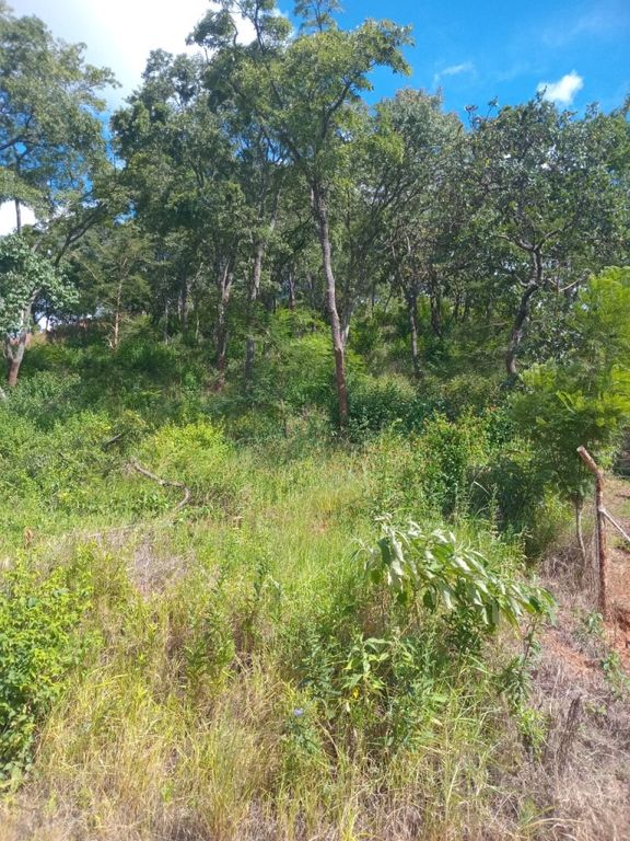 Property photo 3 of 7 Stand For Sale In Harare