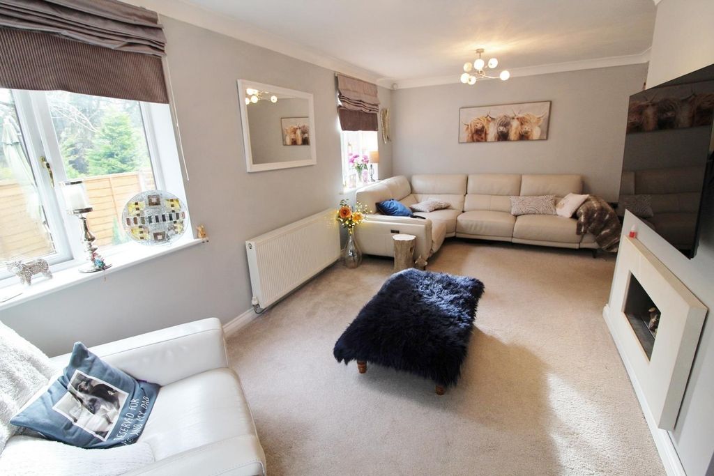 Property photo 3 of 19 Lounge