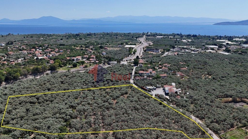 Property photo 2 of 24