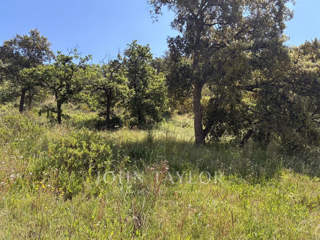 Property photo 1 of 1 Exceptional Land With Cleared Permit