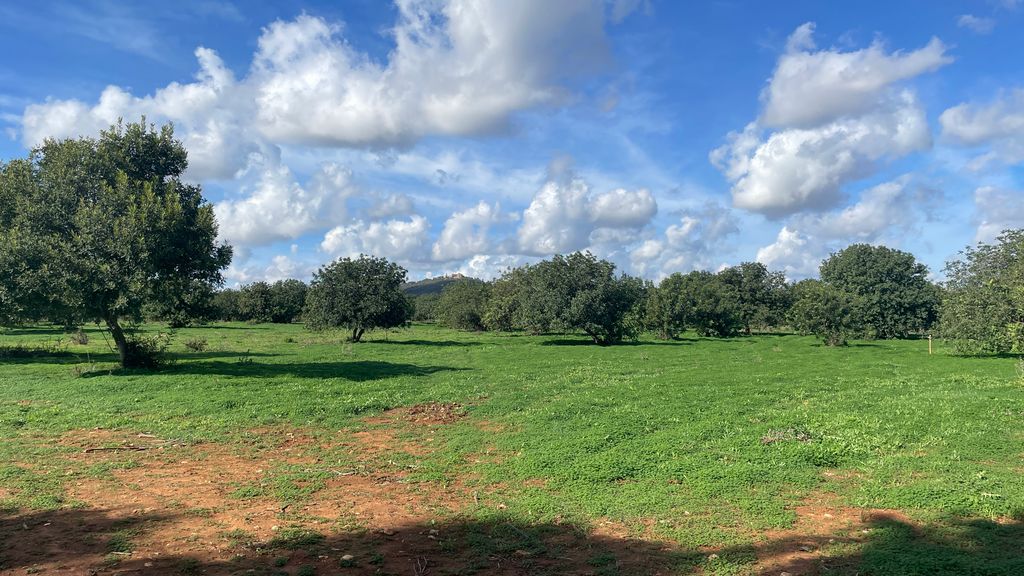 Property photo 1 of 1 Img_0199.Jpg