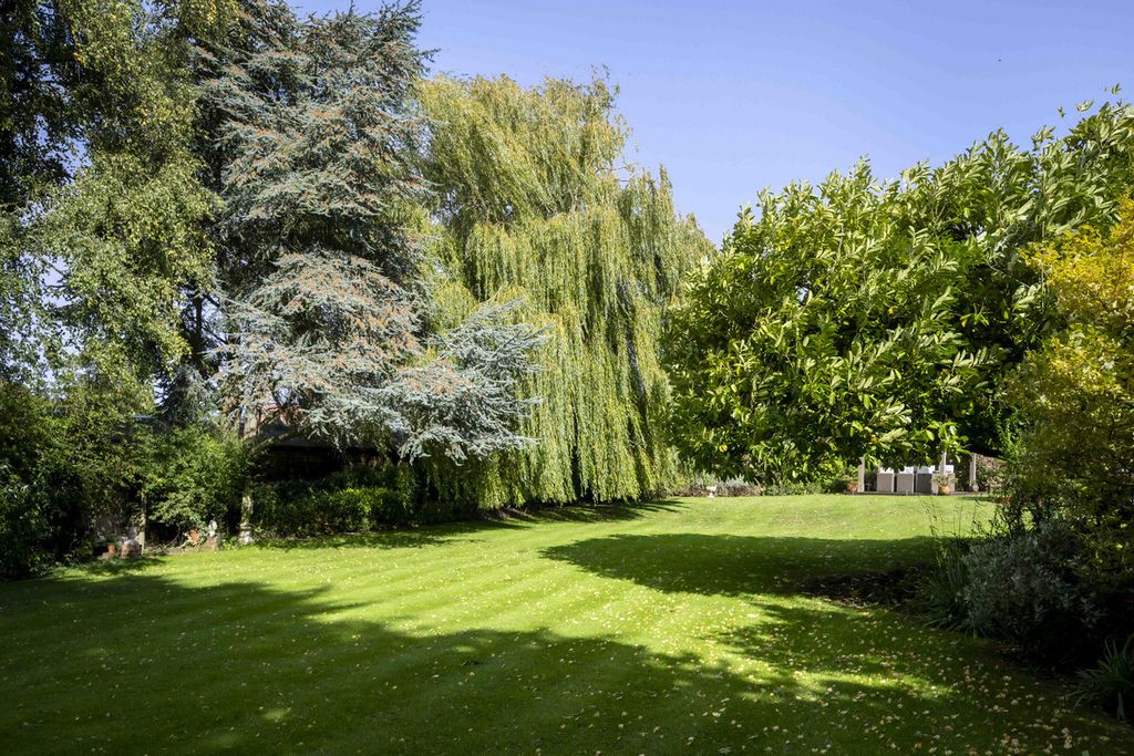 Property photo 3 of 19