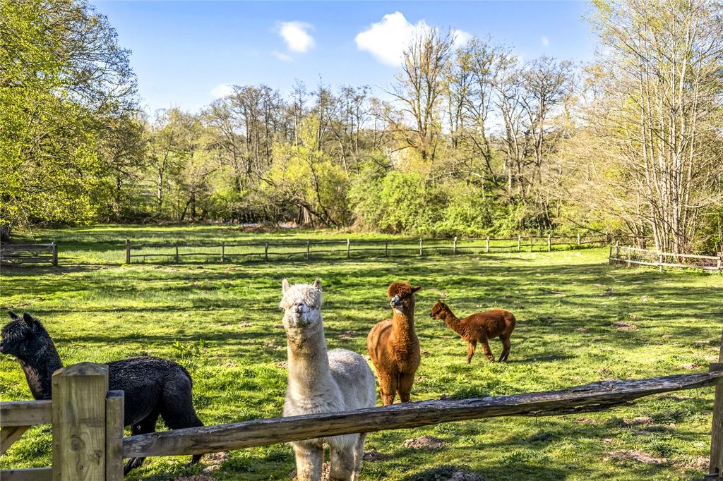 Property photo 3 of 37 Paddocks