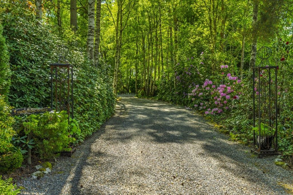 Property photo 3 of 12 Driveway