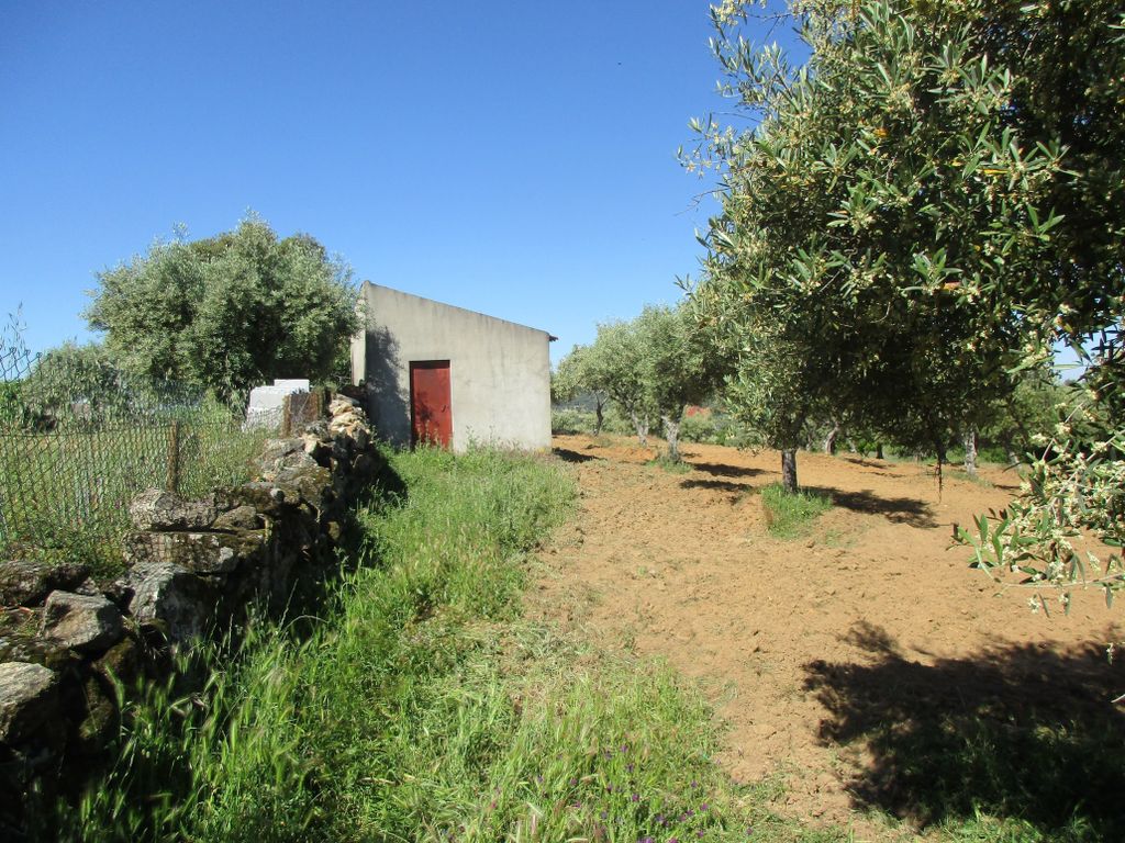 Property photo 1 of 24