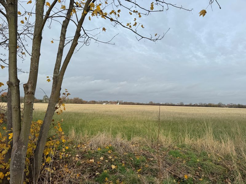 Property photo 2 of 8 Photo 7