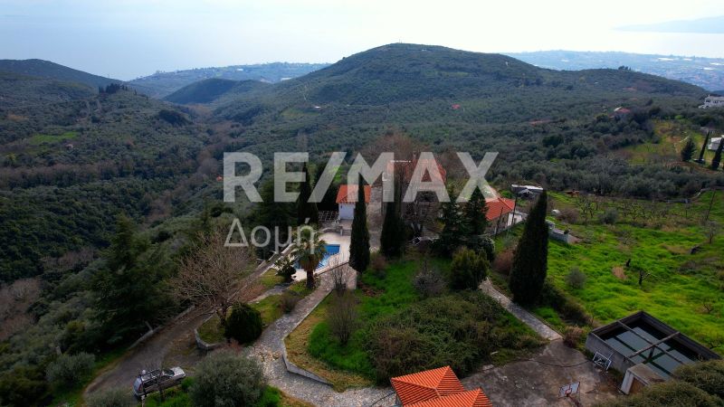 Property photo 3 of 50