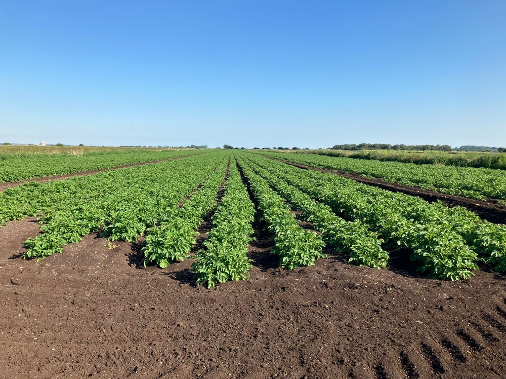 Property photo 2 of 11 Land