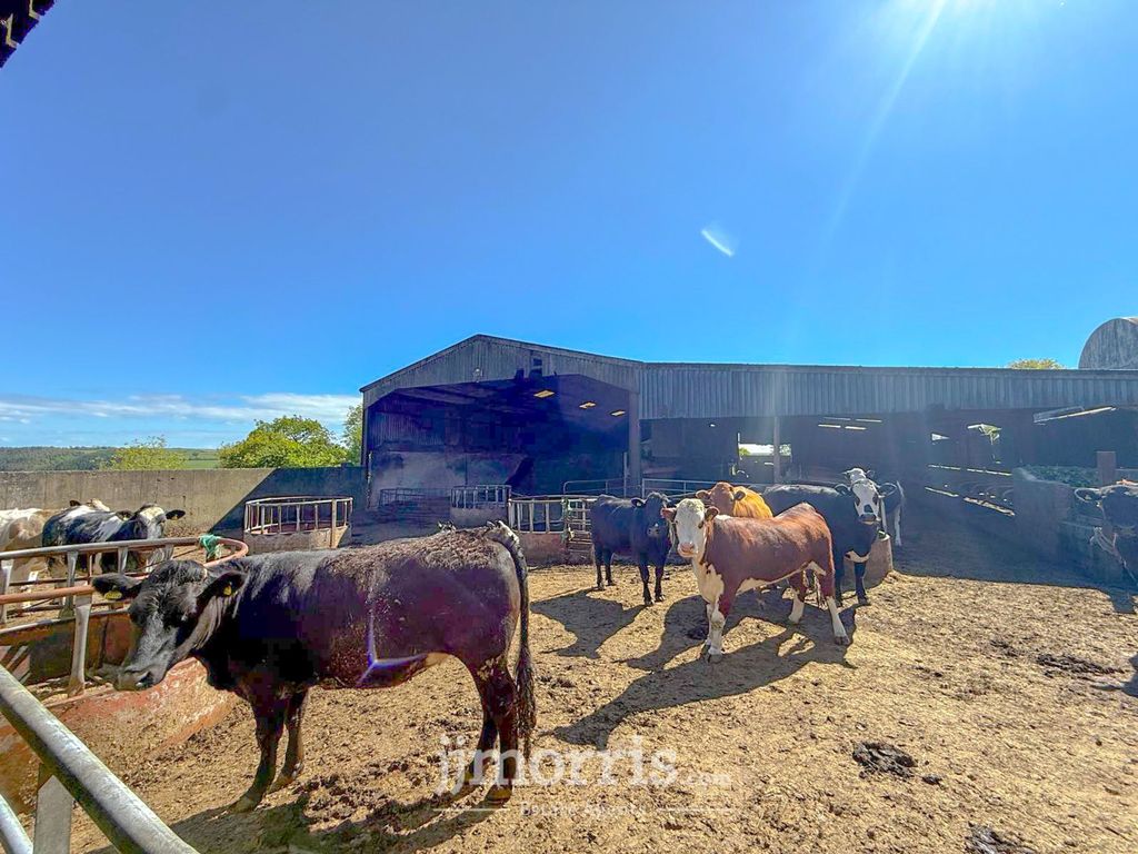 Additional image 33 of 4 bed farm for saleHebron, Whitland SA34