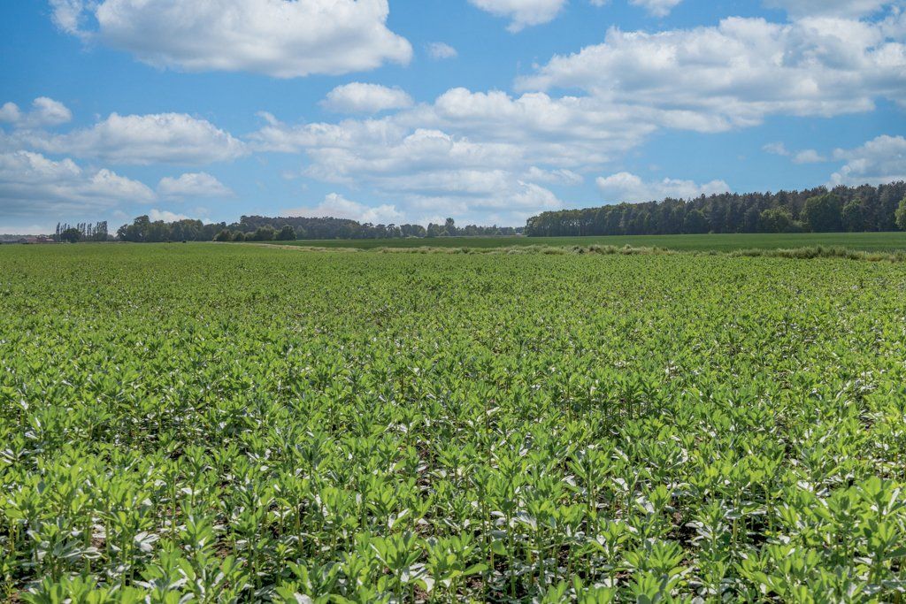 Additional image 5 of Land for saleGate Helmsley, York, North Yorkshire YO41
