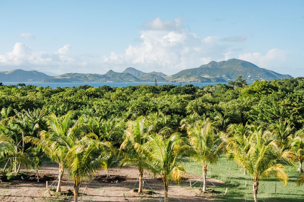 Property photo 2 of 32