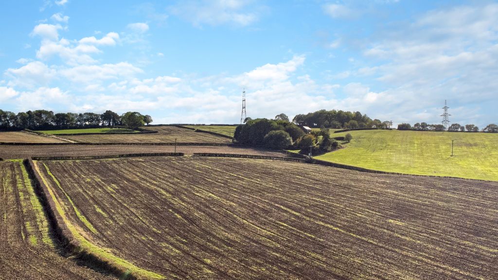 Property photo 2 of 4 Farm