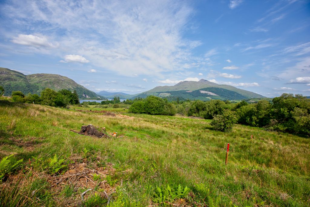 Property photo 2 of 4