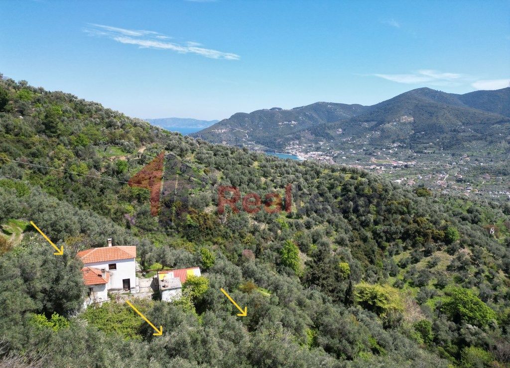 Property photo 1 of 30