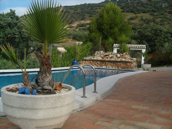 Property photo 3 of 90 Swimming Pool 13 Mtrs x 6 Mtr, One Depth All Over With Natural Stone Waterfall And Back Drop Of Mountain.