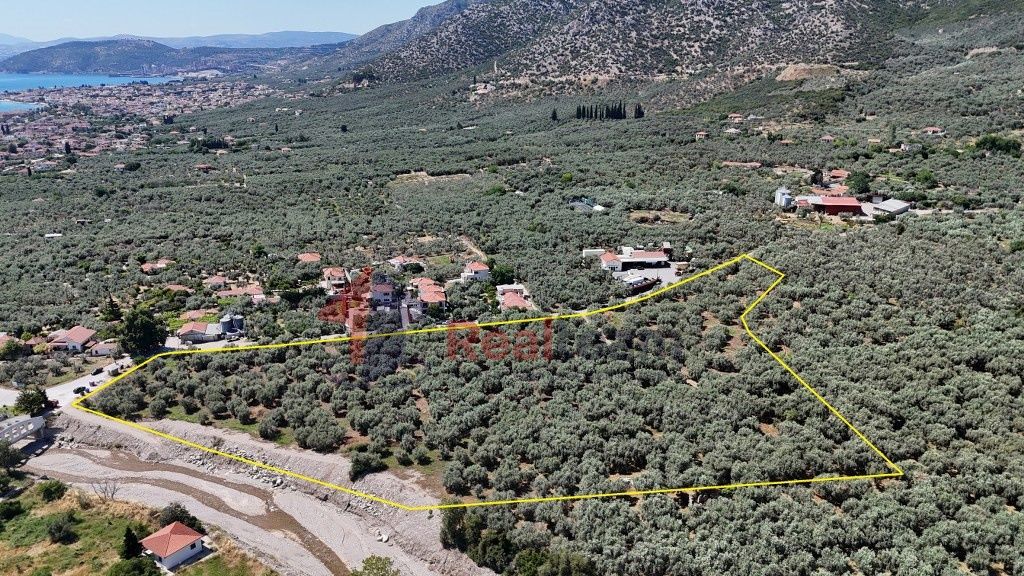 Property photo 2 of 23