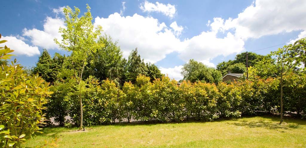 Property photo 2 of 11