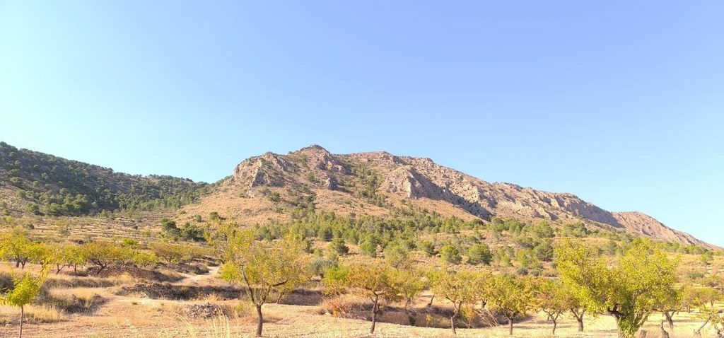 Property photo 3 of 4