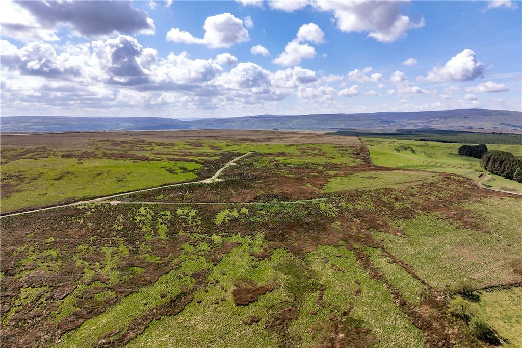 Property photo 3 of 4 Picture No. 15