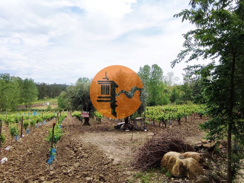 Property photo 2 of 36