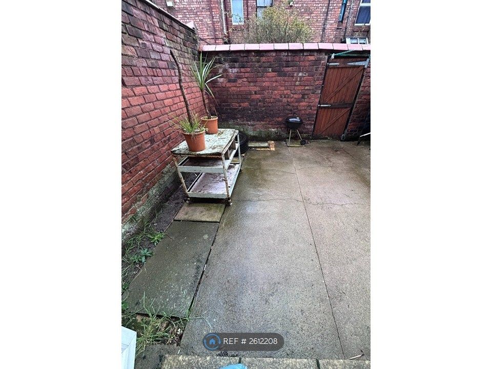 Property photo 3 of 18 Rear Yard