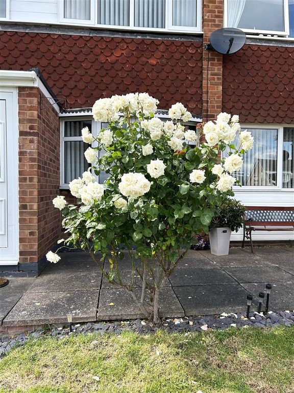 Property photo 3 of 23