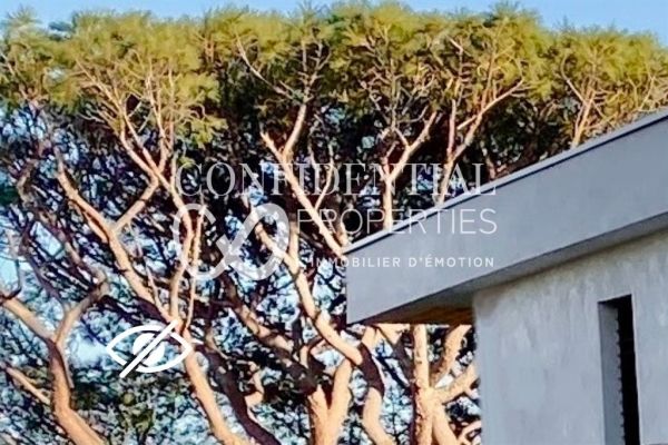 Property photo 1 of 4