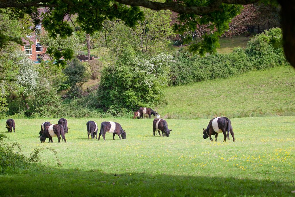 Property photo 3 of 9 Picture No. 03