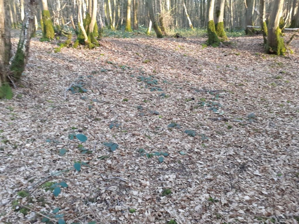 Property photo 2 of 7