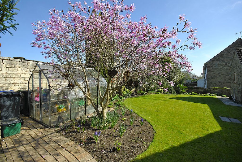 Property photo 2 of 41 _Dsc0383